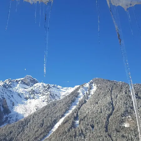 Magnifique Centre-ville - Animaux Admis, Wifi - Fr-1-517-37 Lejlighed *