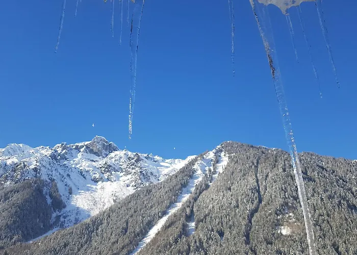 Magnifique Centre-ville - Animaux Admis, Wifi - Fr-1-517-37 Apartment *