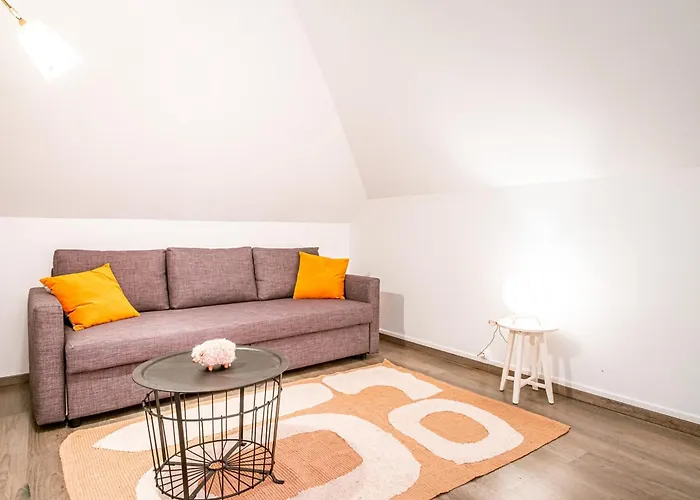 Magnifique Centre-ville - Animaux Admis, Wifi - Fr-1-517-37 Apartment *