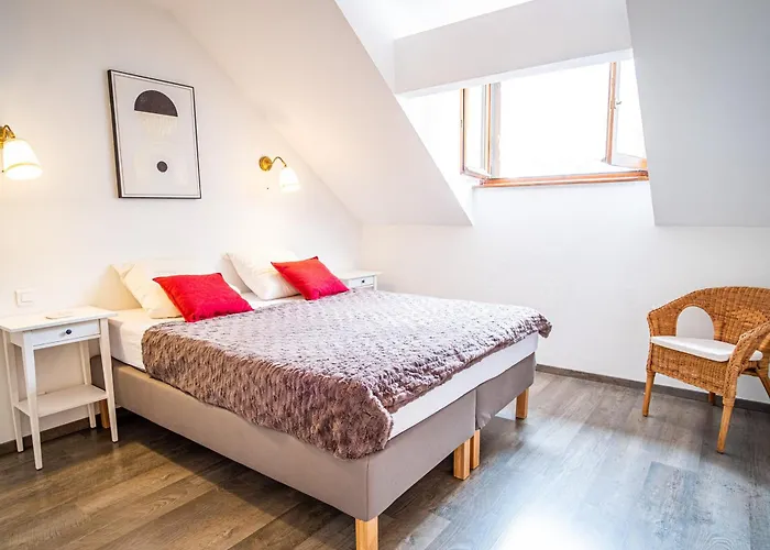 Magnifique Centre-ville - Animaux Admis, Wifi - Fr-1-517-37