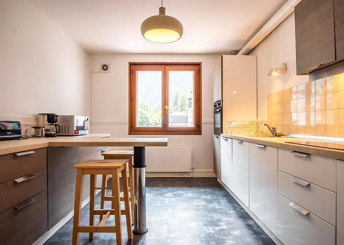 Magnifique Centre-ville - Animaux Admis, Wifi - Fr-1-517-37 Шамони